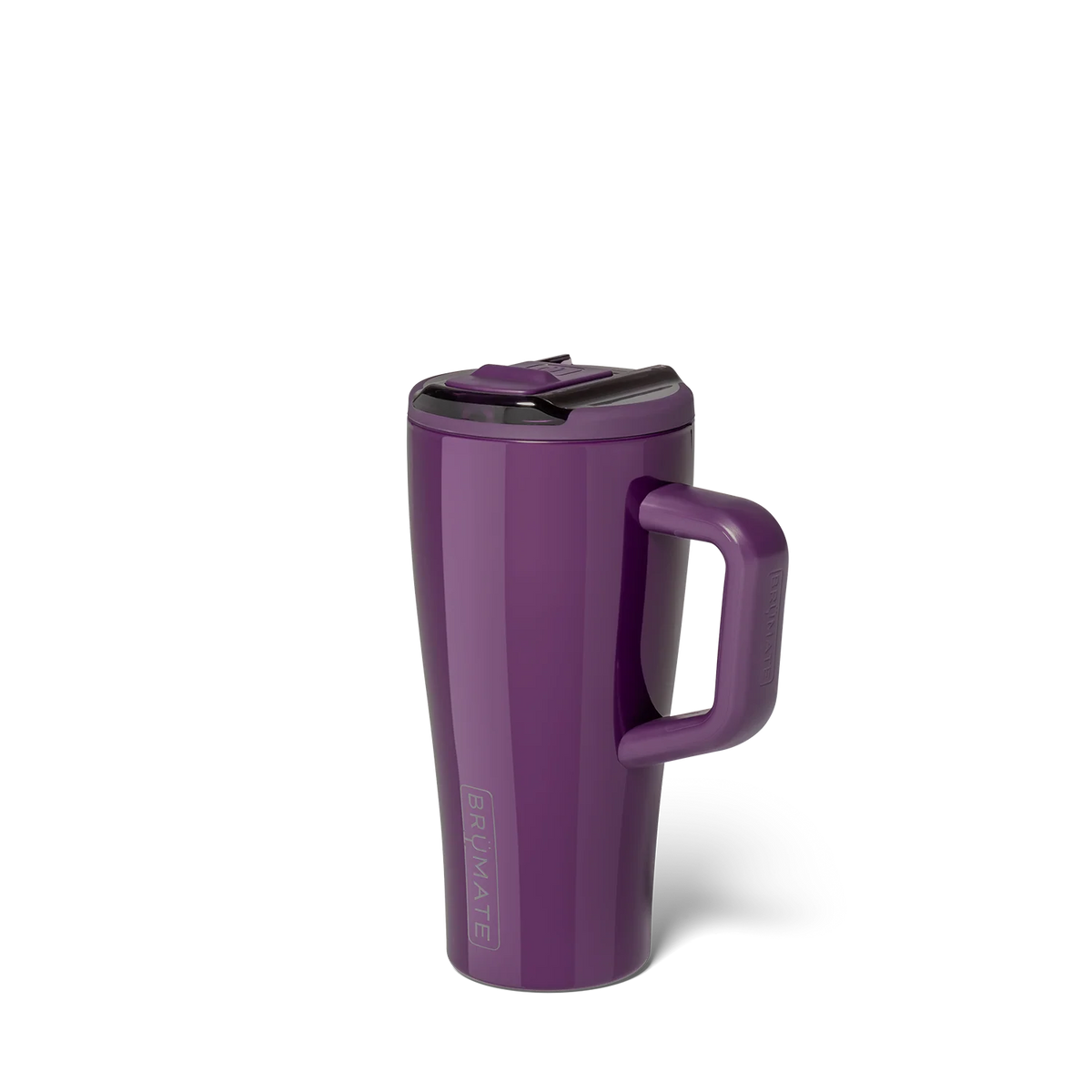 Era Flip 20oz | Plum
