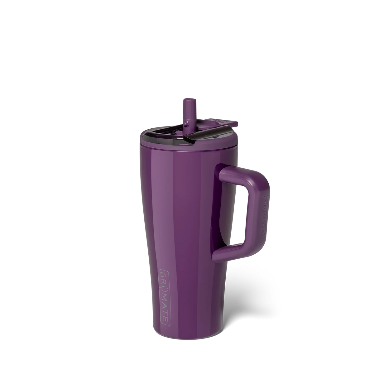 Era Flip 20oz | Plum